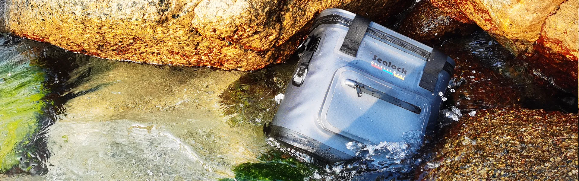 ดาวน์โหลด